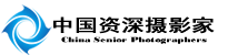 某某网络科技有限公司